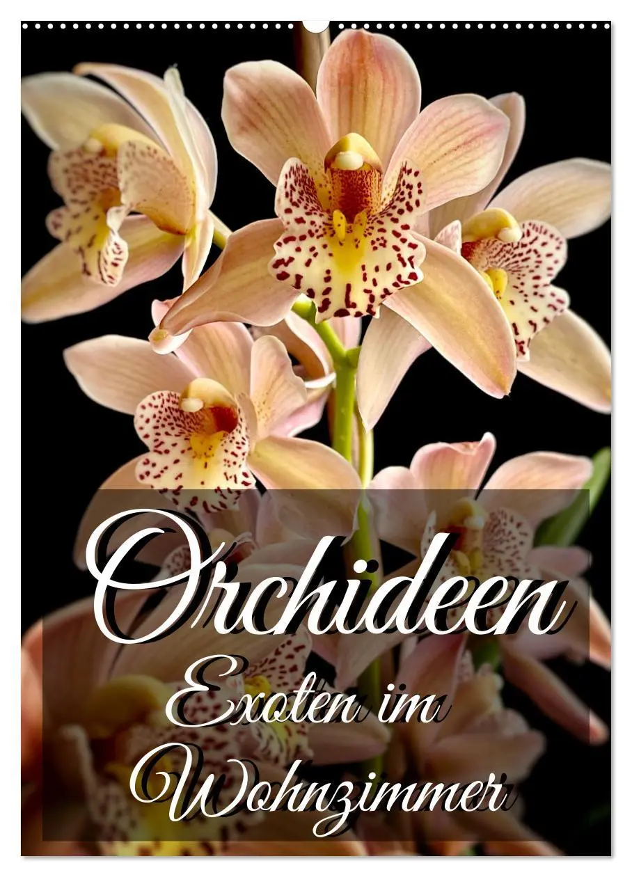 Cover: 9783516326192 | Orchideen - Exoten im Wohnzimmer (Wandkalender 2026 DIN A2 hoch),...