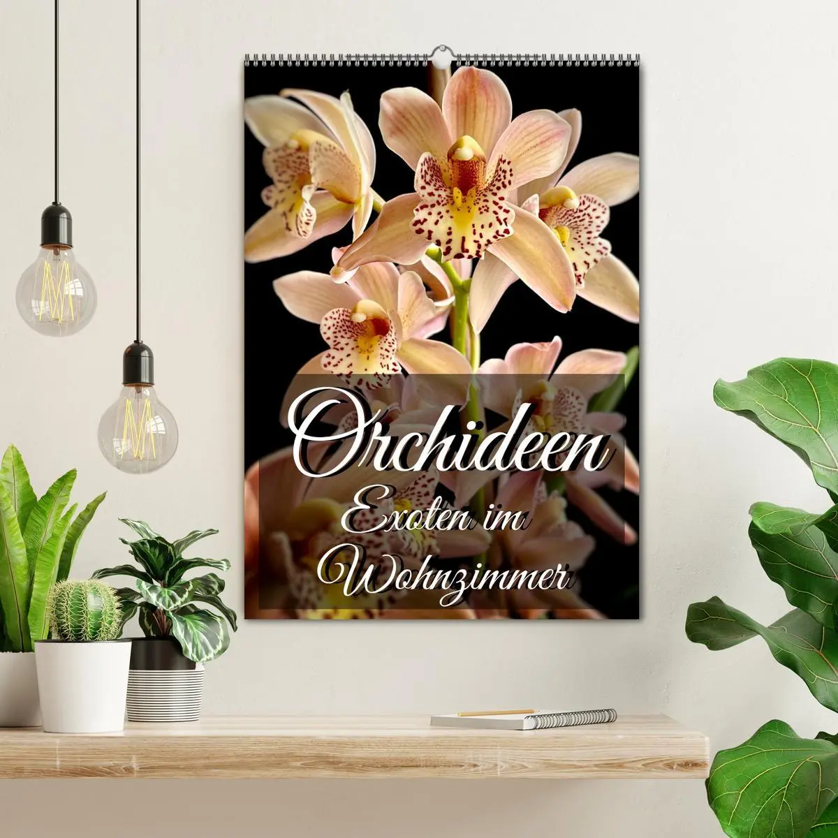 Bild: 9783516326192 | Orchideen - Exoten im Wohnzimmer (Wandkalender 2026 DIN A2 hoch),...