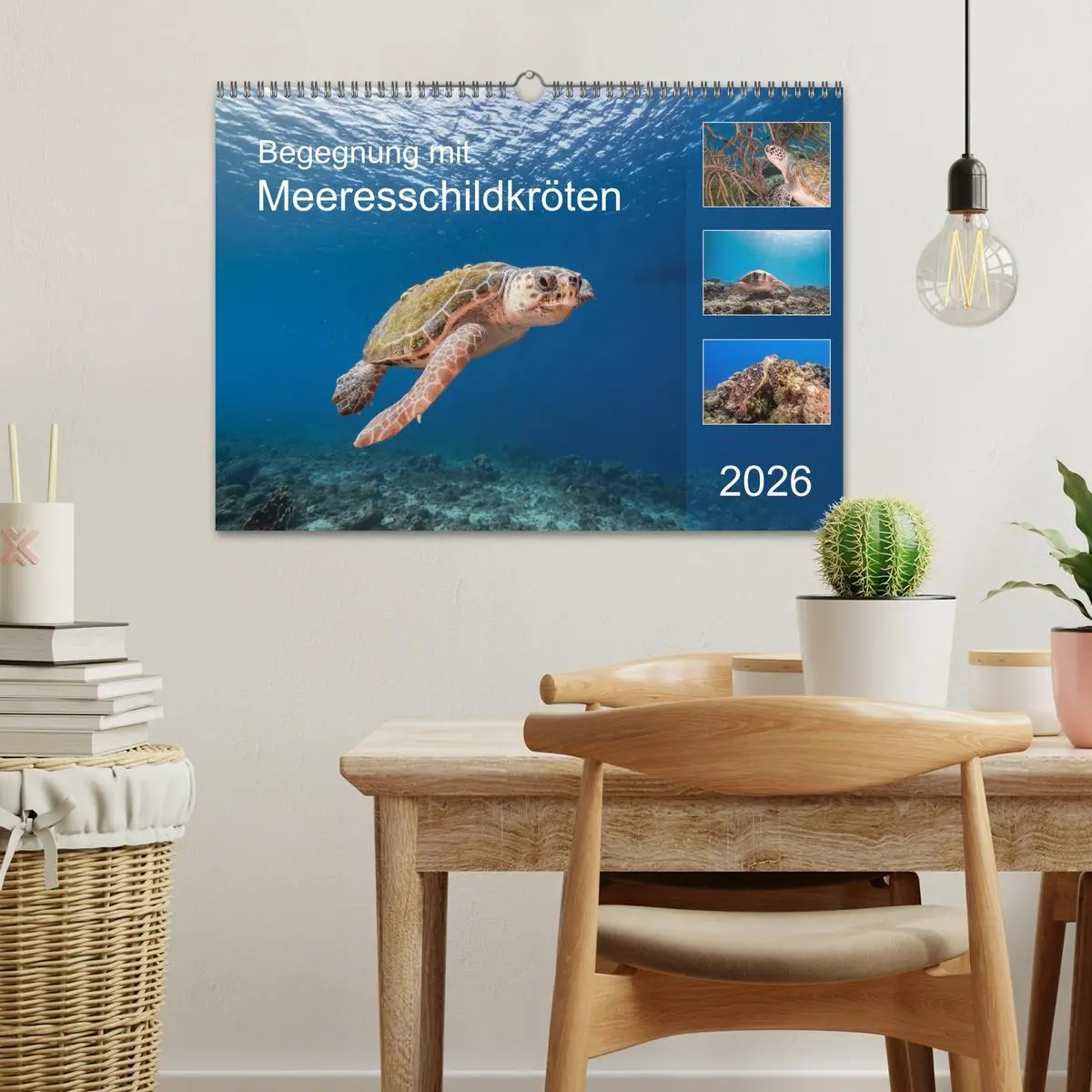 Bild: 9783457776292 | Begegnung mit Meeresschildkröten (Wandkalender 2026 DIN A3 quer),...