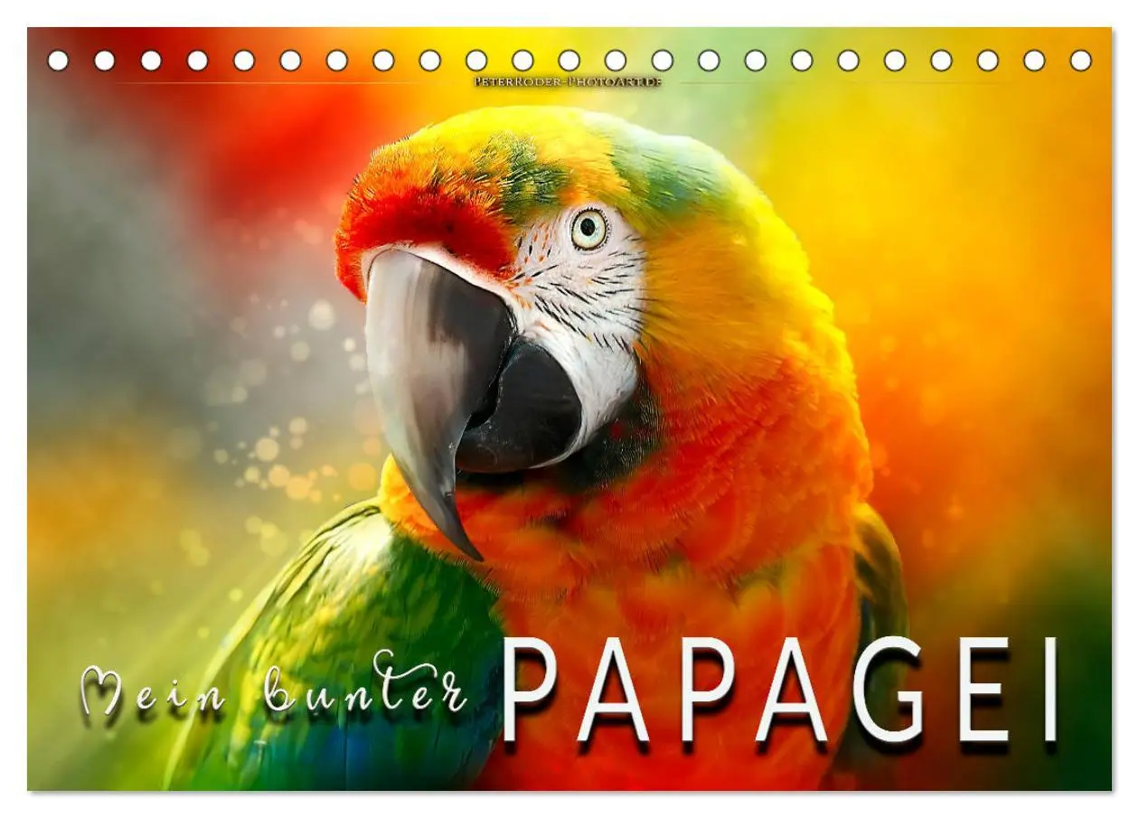 Cover: 9783457846292 | Mein bunter Papagei (Tischkalender 2026 DIN A5 quer), CALVENDO...