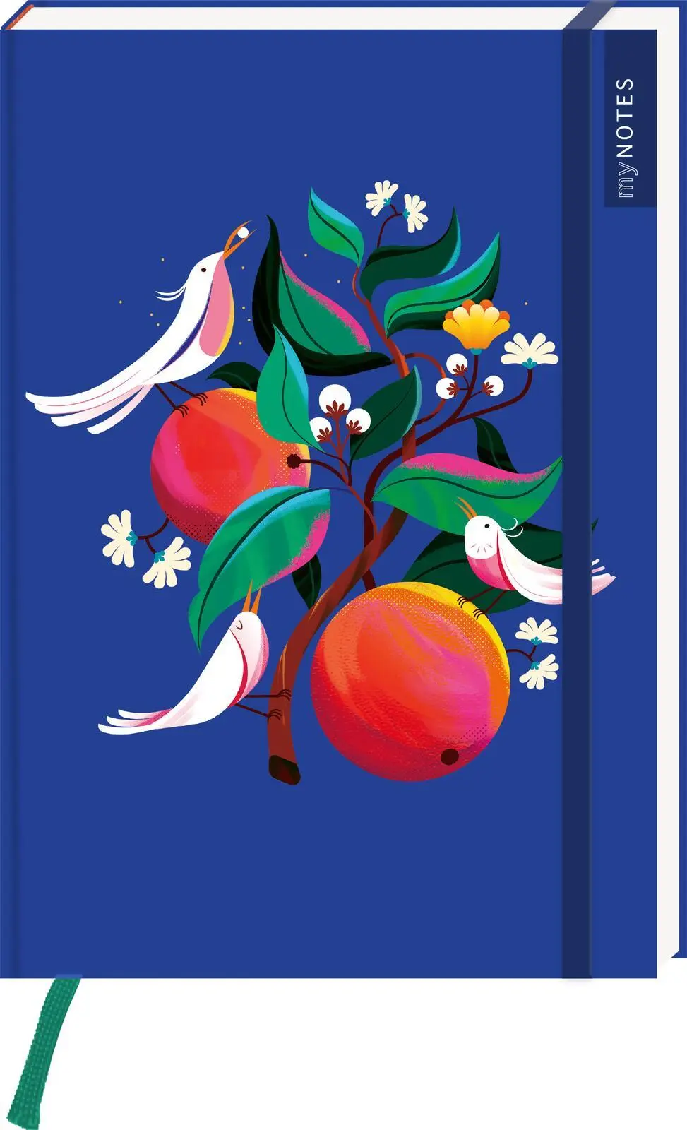 Cover: 4014489136392 | myNOTES Papeterie: Notizbuch A5 Farben des Sommers | Maïté Franchi