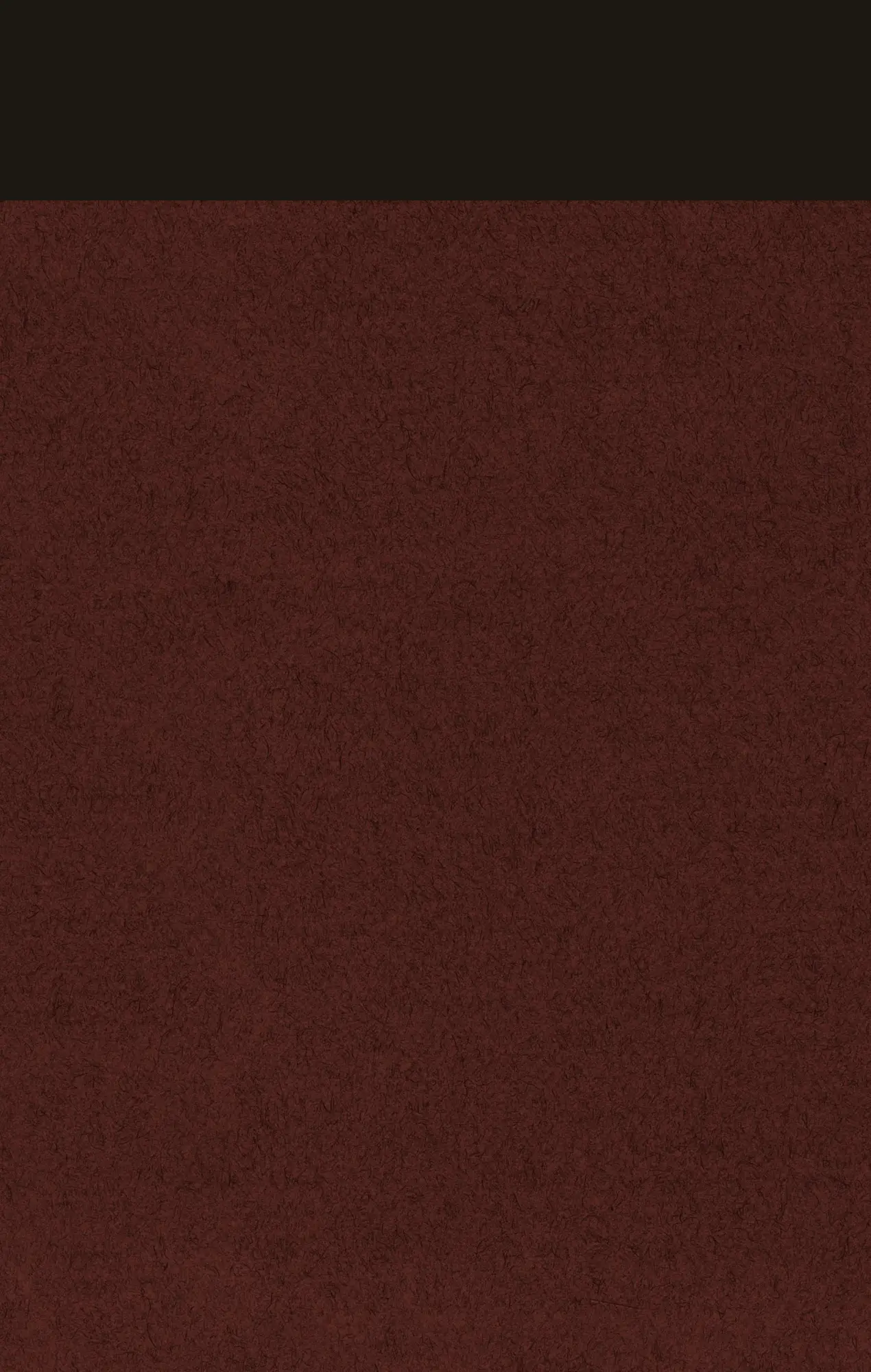 Rückseite: 9783498046392 | Gesammelte Werke 01. Frühe Romane 1. Maschenka. König Dame Bube | Buch