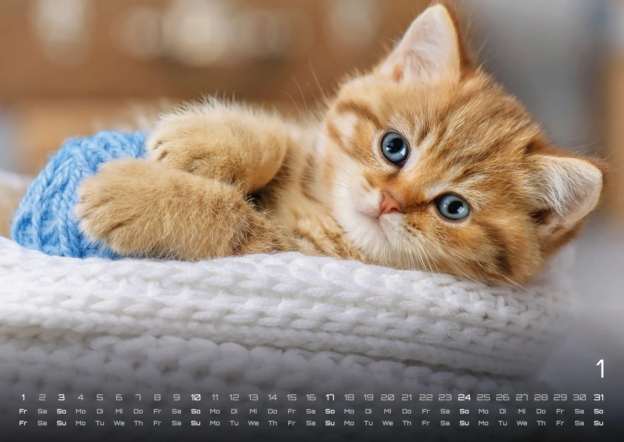 Bild: 9783986736392 | Miau Kids - kleine Tiger ganz groß - Der Katzenkalender - 2027 -...