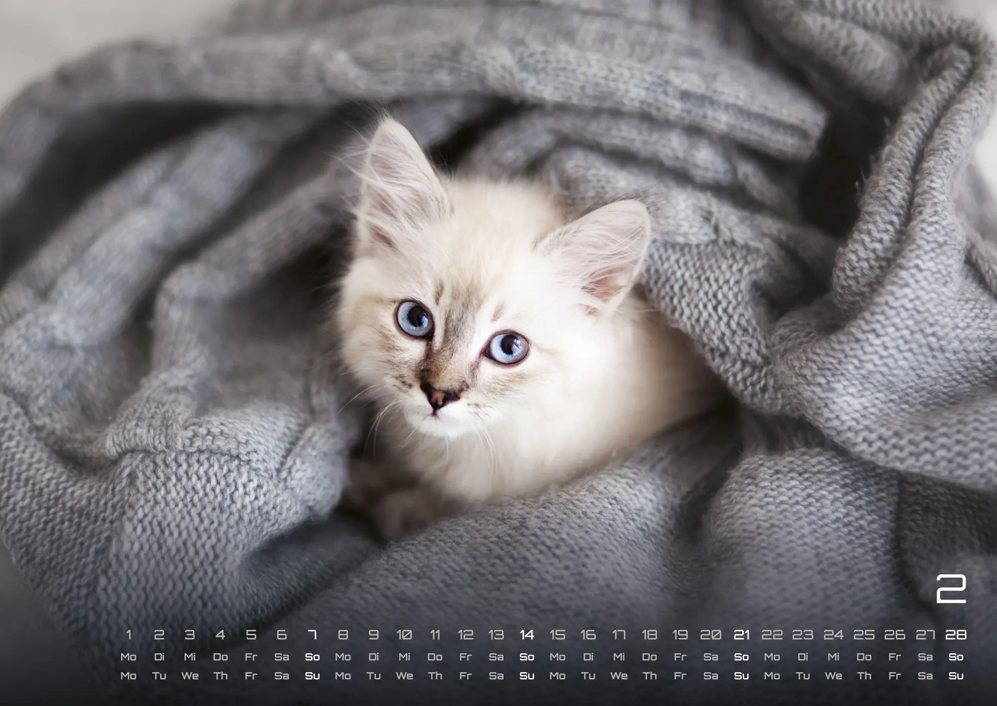 Bild: 9783986736392 | Miau Kids - kleine Tiger ganz groß - Der Katzenkalender - 2027 -...