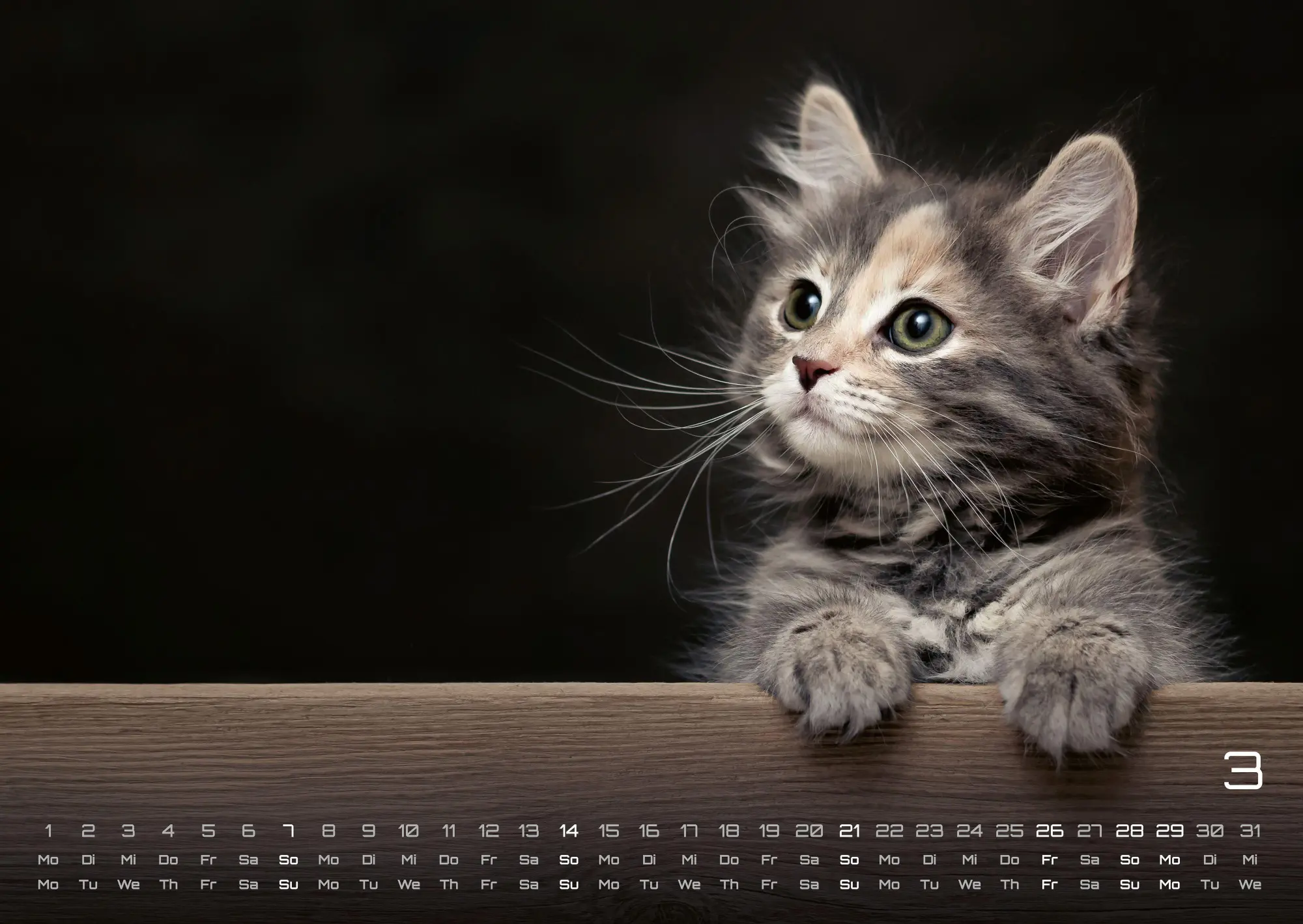 Bild: 9783986736392 | Miau Kids - kleine Tiger ganz groß - Der Katzenkalender - 2027 -...