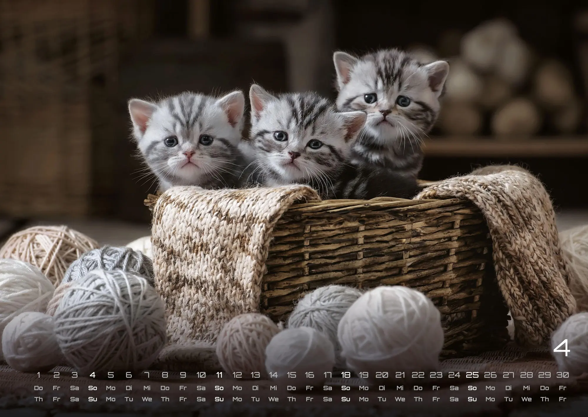 Bild: 9783986736392 | Miau Kids - kleine Tiger ganz groß - Der Katzenkalender - 2027 -...
