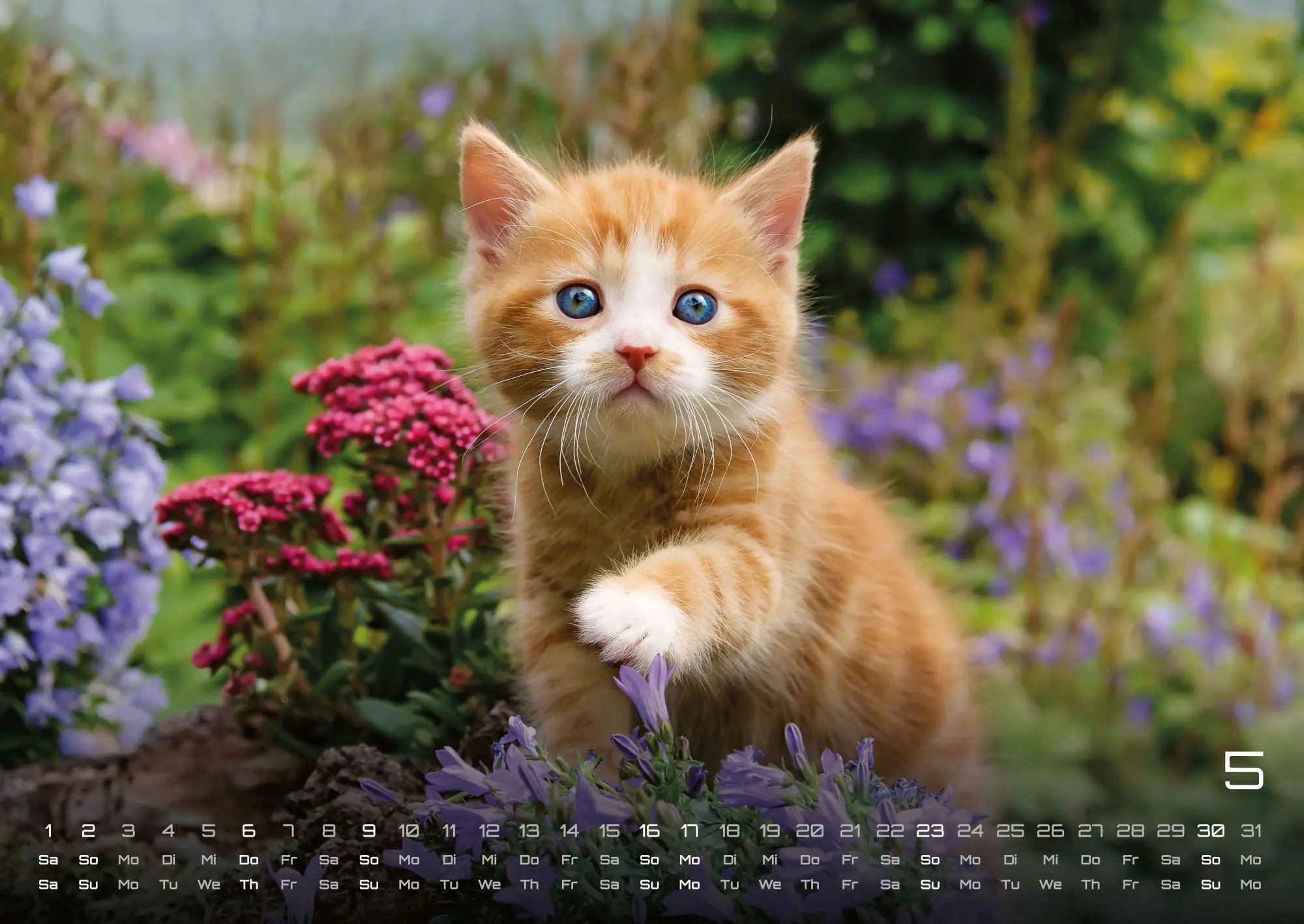 Bild: 9783986736392 | Miau Kids - kleine Tiger ganz groß - Der Katzenkalender - 2027 -...