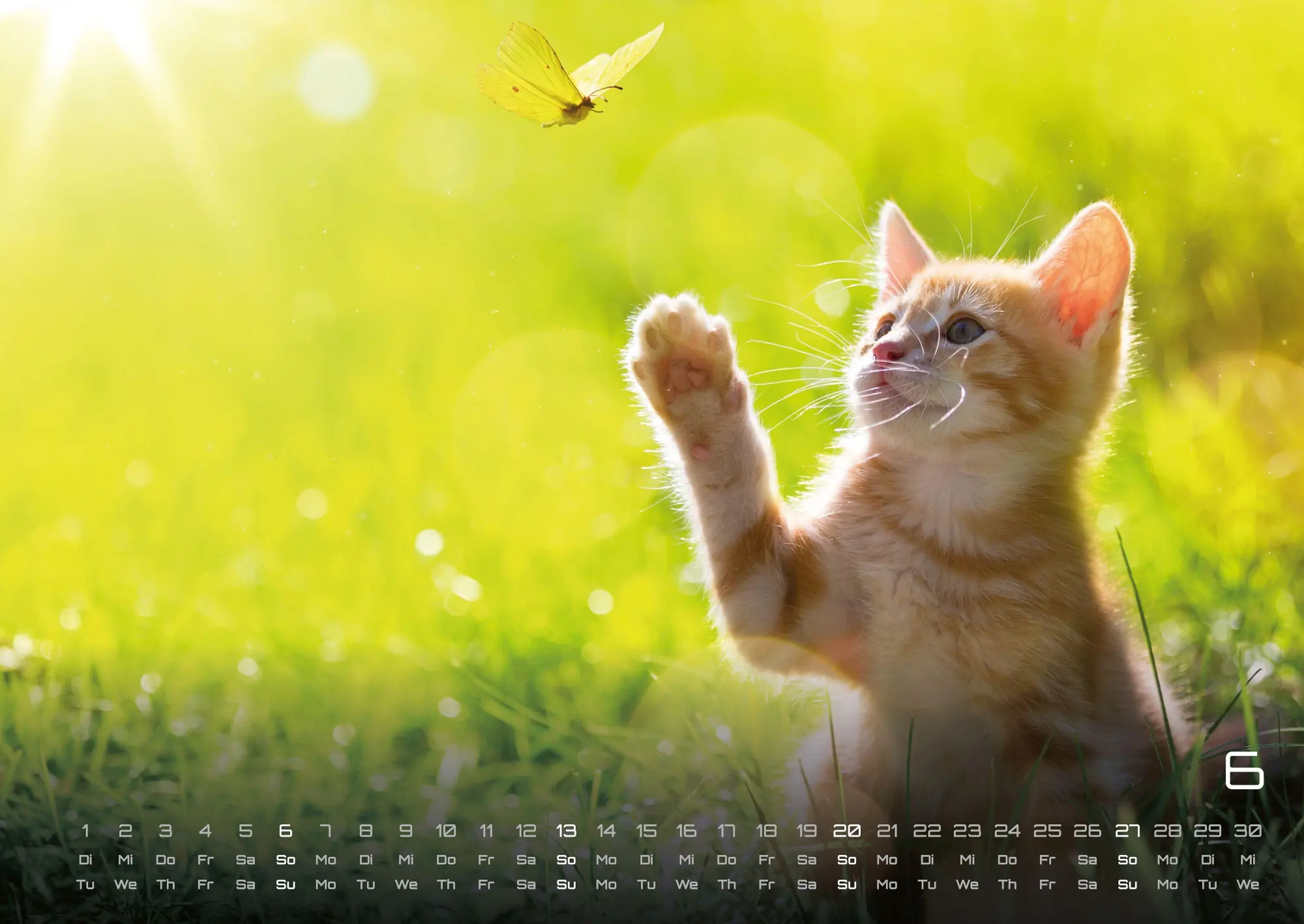 Bild: 9783986736392 | Miau Kids - kleine Tiger ganz groß - Der Katzenkalender - 2027 -...