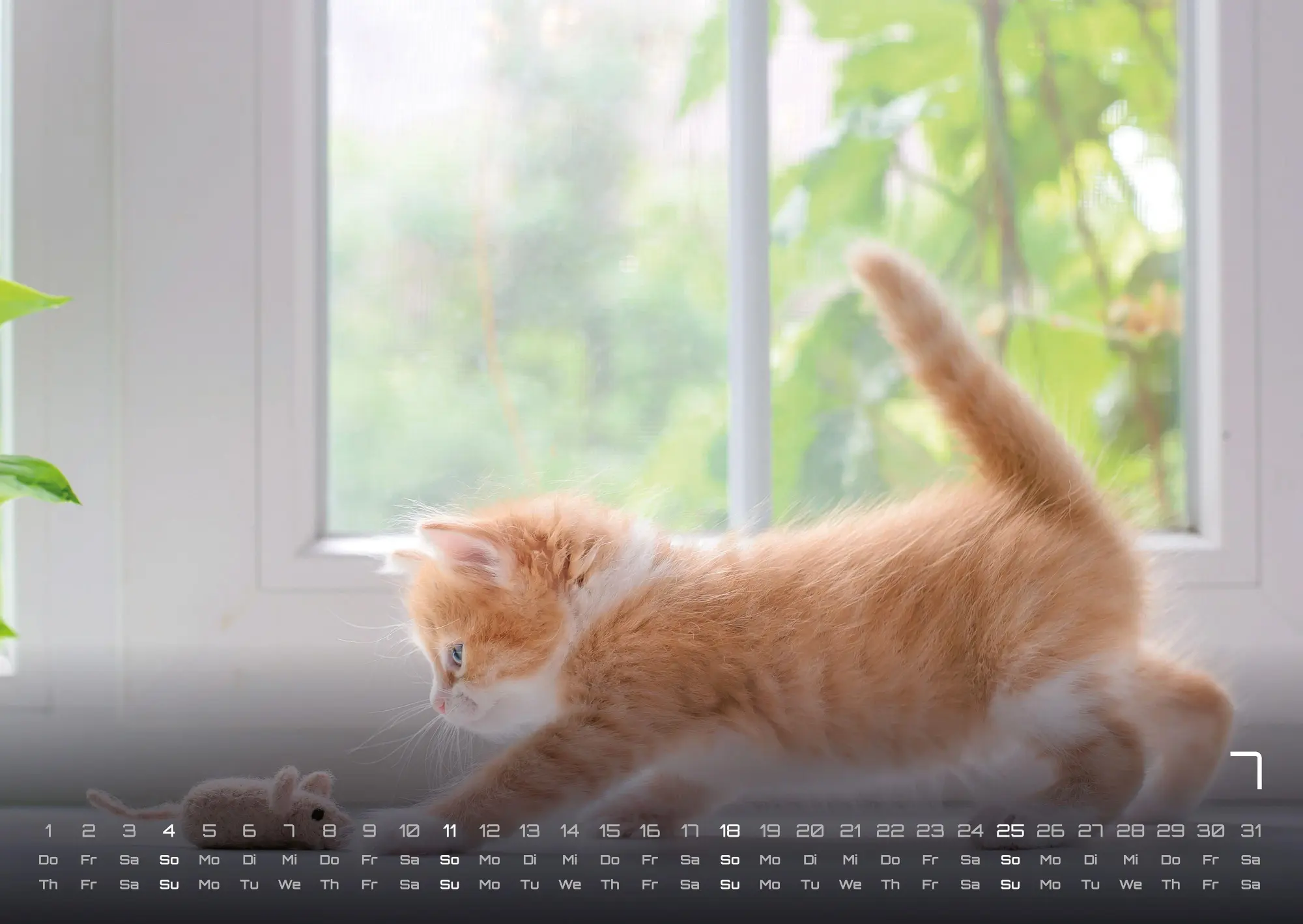 Bild: 9783986736392 | Miau Kids - kleine Tiger ganz groß - Der Katzenkalender - 2027 -...