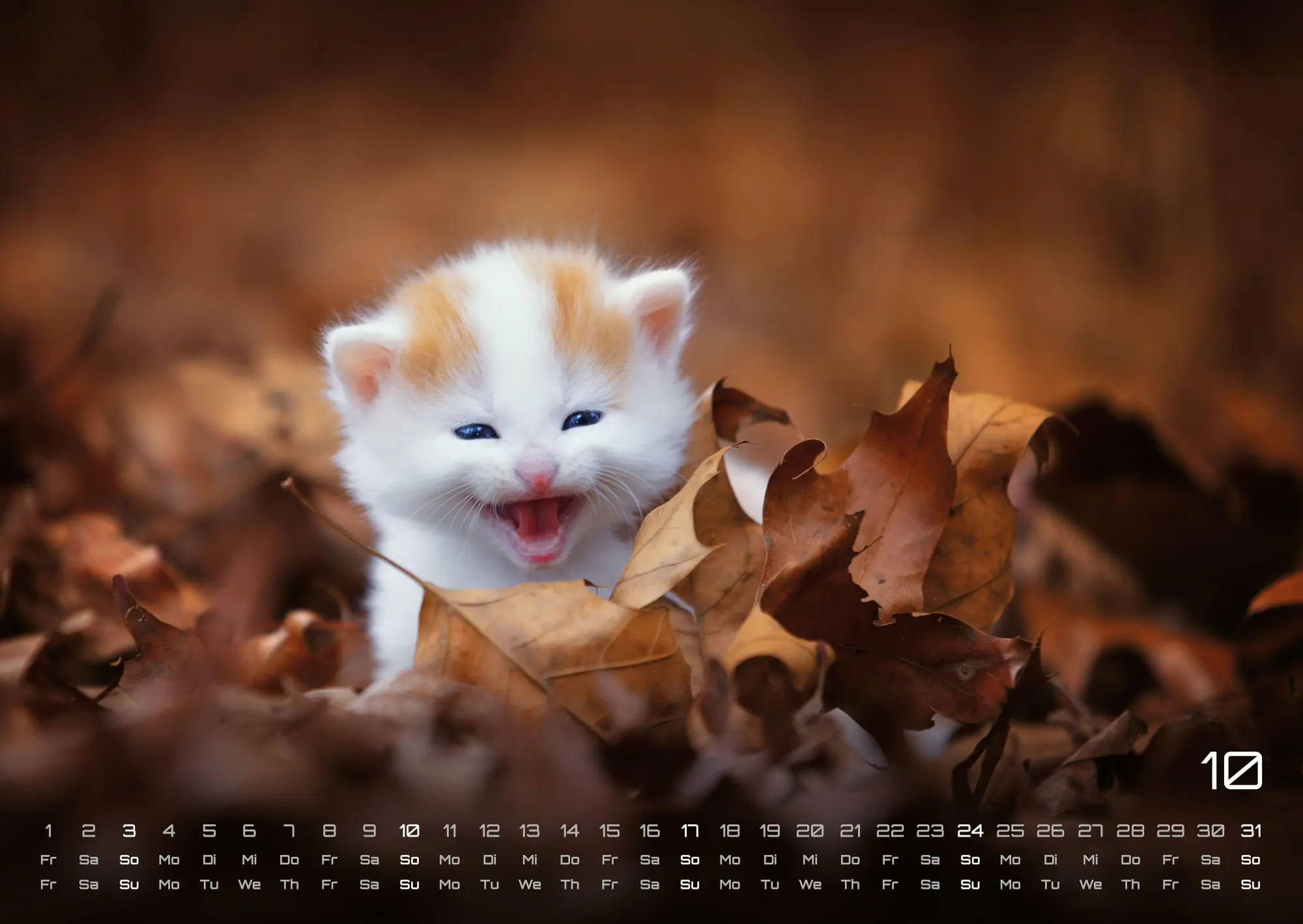Bild: 9783986736392 | Miau Kids - kleine Tiger ganz groß - Der Katzenkalender - 2027 -...