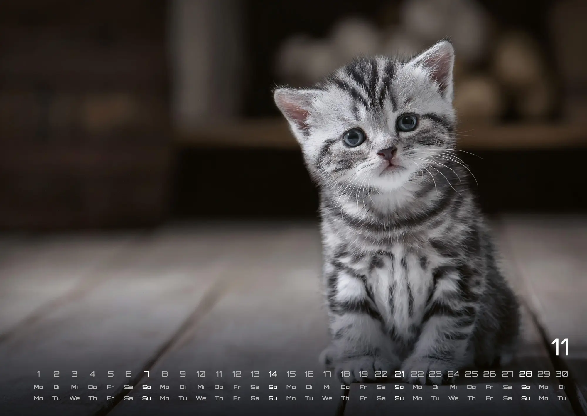 Bild: 9783986736392 | Miau Kids - kleine Tiger ganz groß - Der Katzenkalender - 2027 -...