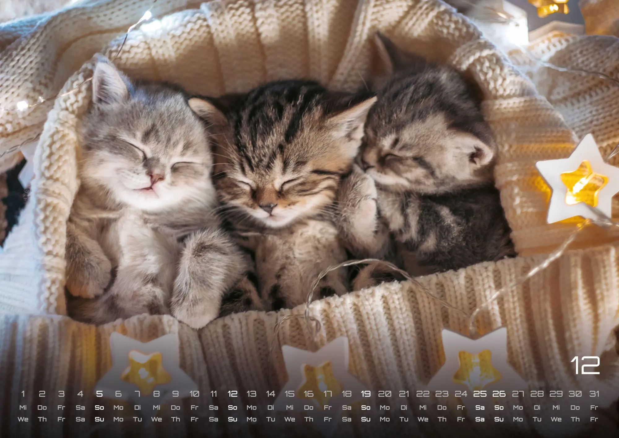Bild: 9783986736392 | Miau Kids - kleine Tiger ganz groß - Der Katzenkalender - 2027 -...