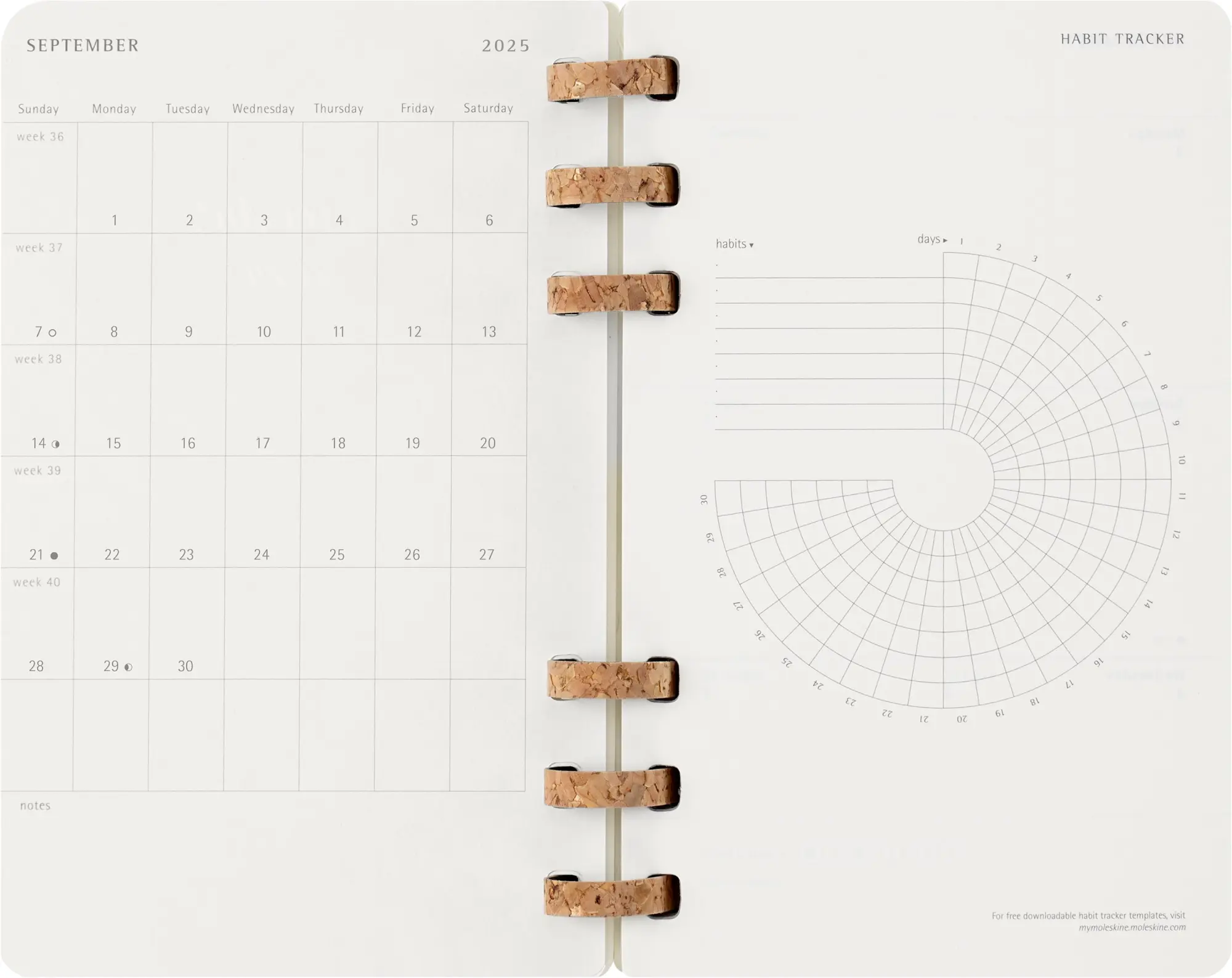 Bild: 8056999276492 | Moleskine 12 Monate Studienplaner mit Spiralbindung 2026, L/A5,...