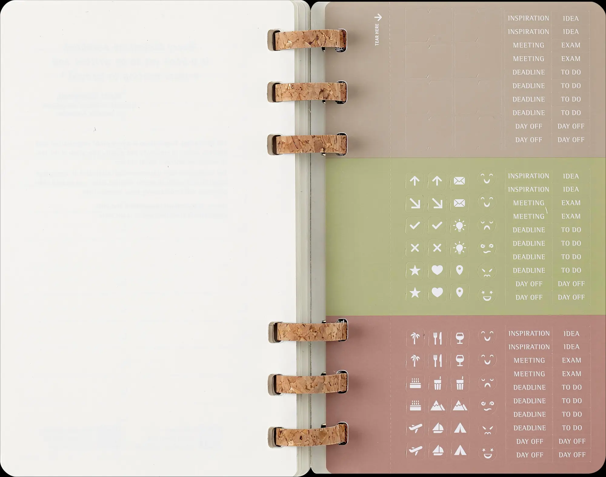 Bild: 8056999276492 | Moleskine 12 Monate Studienplaner mit Spiralbindung 2026, L/A5,...