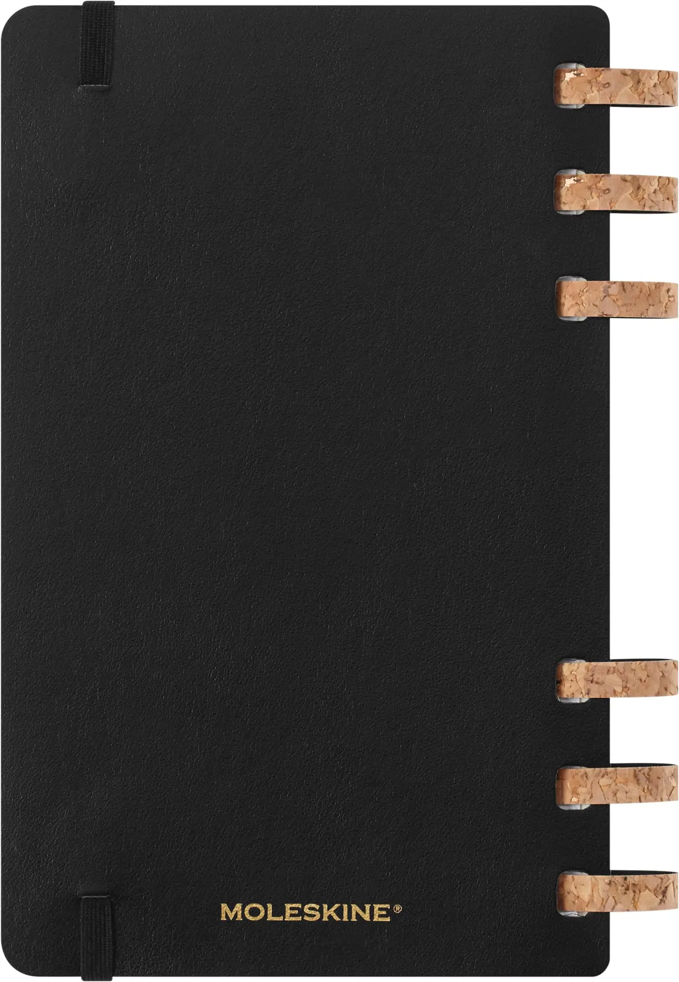 Bild: 8056999276492 | Moleskine 12 Monate Studienplaner mit Spiralbindung 2026, L/A5,...