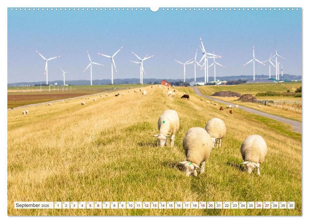 Bild: 9783457446492 | Urlaub in Nordfriesland (hochwertiger Premium Wandkalender 2026 DIN...