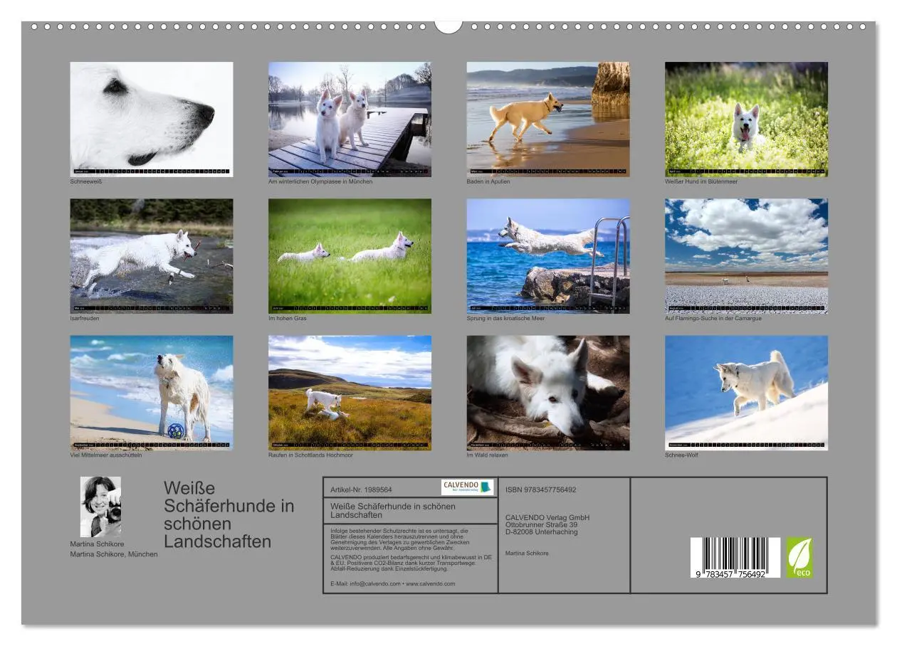 Bild: 9783457756492 | Weiße Schäferhunde in schönen Landschaften (hochwertiger Premium...