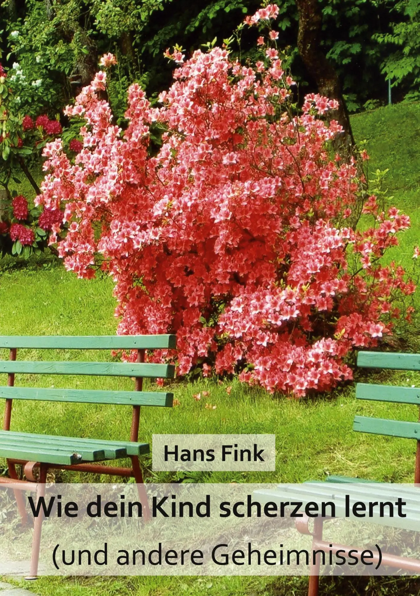 Cover: 9783741266492 | Wie dein Kind scherzen lernt | (und andere Geheimnisse) | Hans Fink