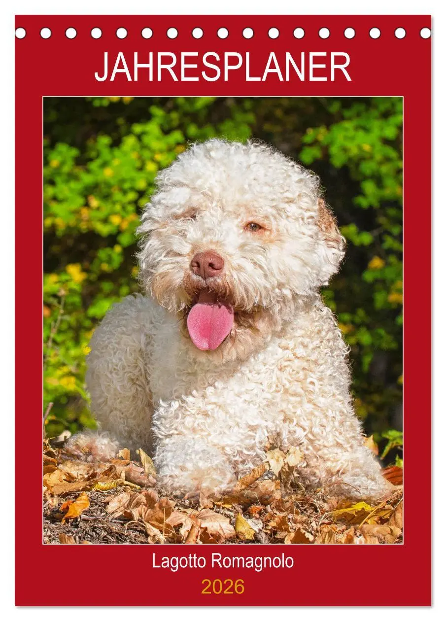 Cover: 9783516386592 | Jahresplaner Lagotto Romagnolo (Tischkalender 2026 DIN A5 hoch),...