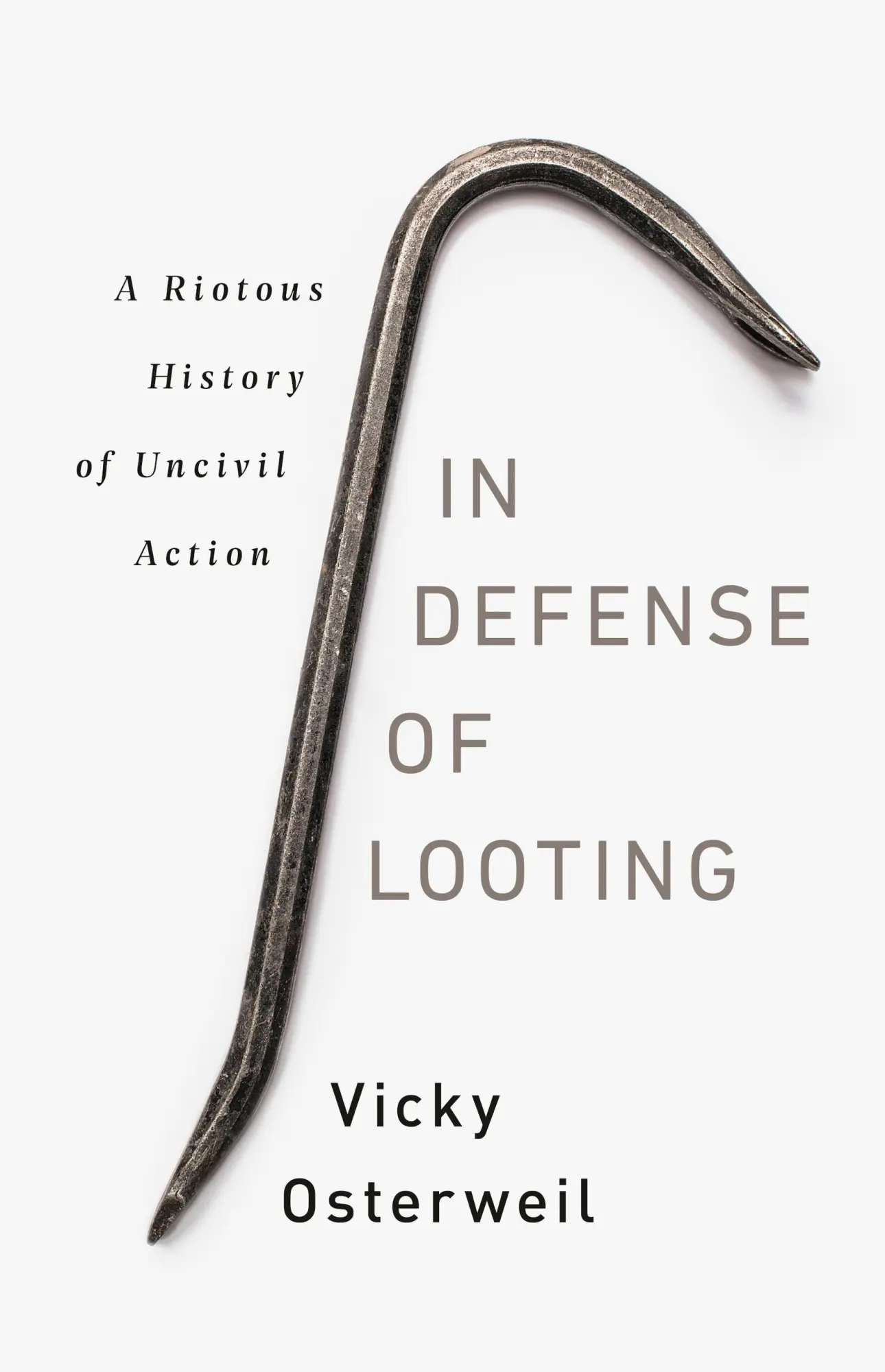 Cover: 9781645036692 | In Defense of Looting | A Riotous History of Uncivil Action | Buch