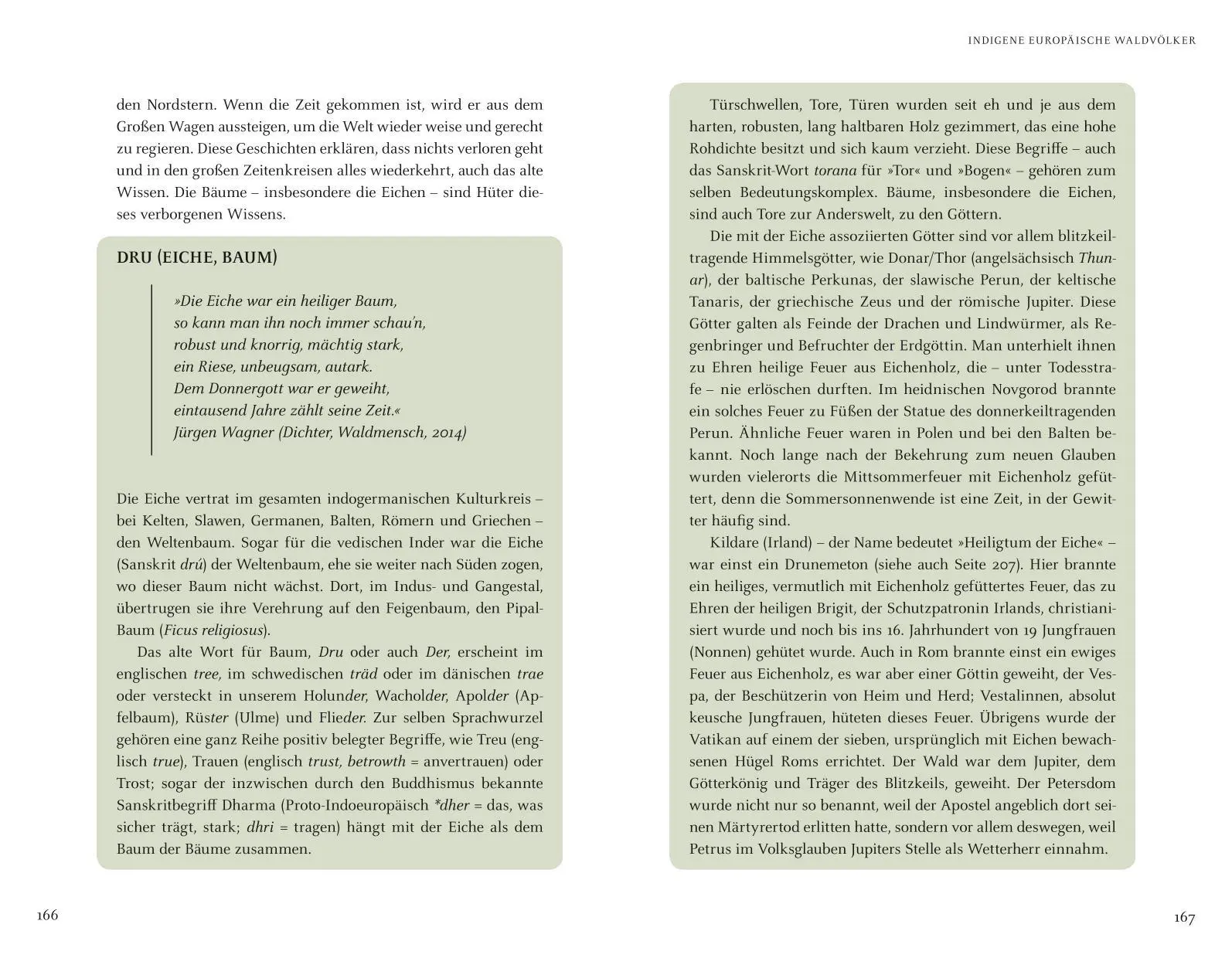 Bild: 9783833866692 | Wir sind Geschöpfe des Waldes | Wolf-Dieter Storl | Buch | 368 S.