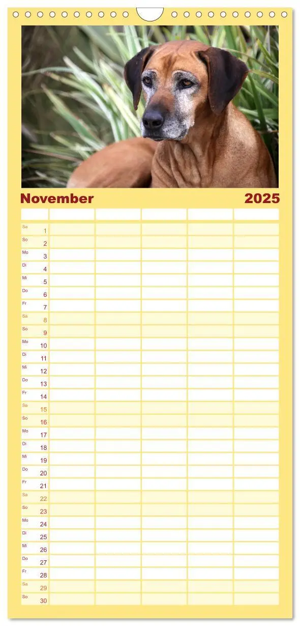 Bild: 9783457106792 | Familienplaner 2025 - Rhodesian Ridgeback Terminkalender mit 5...