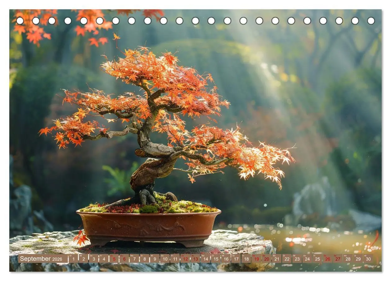 Bild: 9783457416792 | Bonsai meditativ (Tischkalender 2026 DIN A5 quer), CALVENDO...