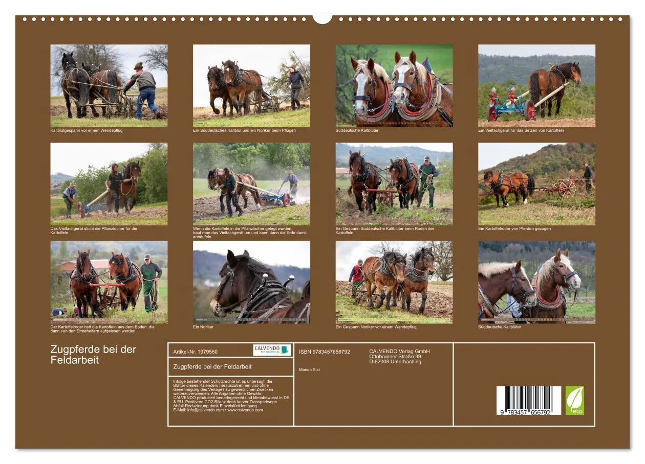 Bild: 9783457656792 | Zugpferde bei der Feldarbeit (Wandkalender 2026 DIN A2 quer),...