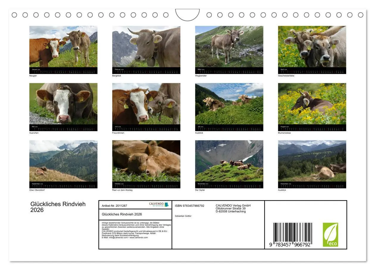 Bild: 9783457966792 | Glückliches Rindvieh 2026 (Wandkalender 2026 DIN A4 quer), CALVENDO...