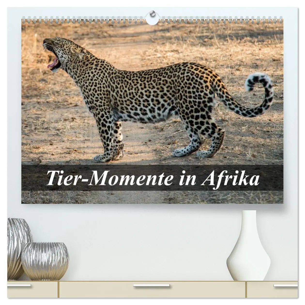 Cover: 9783516056792 | Tier-Momente in Afrika (hochwertiger Premium Wandkalender 2026 DIN...