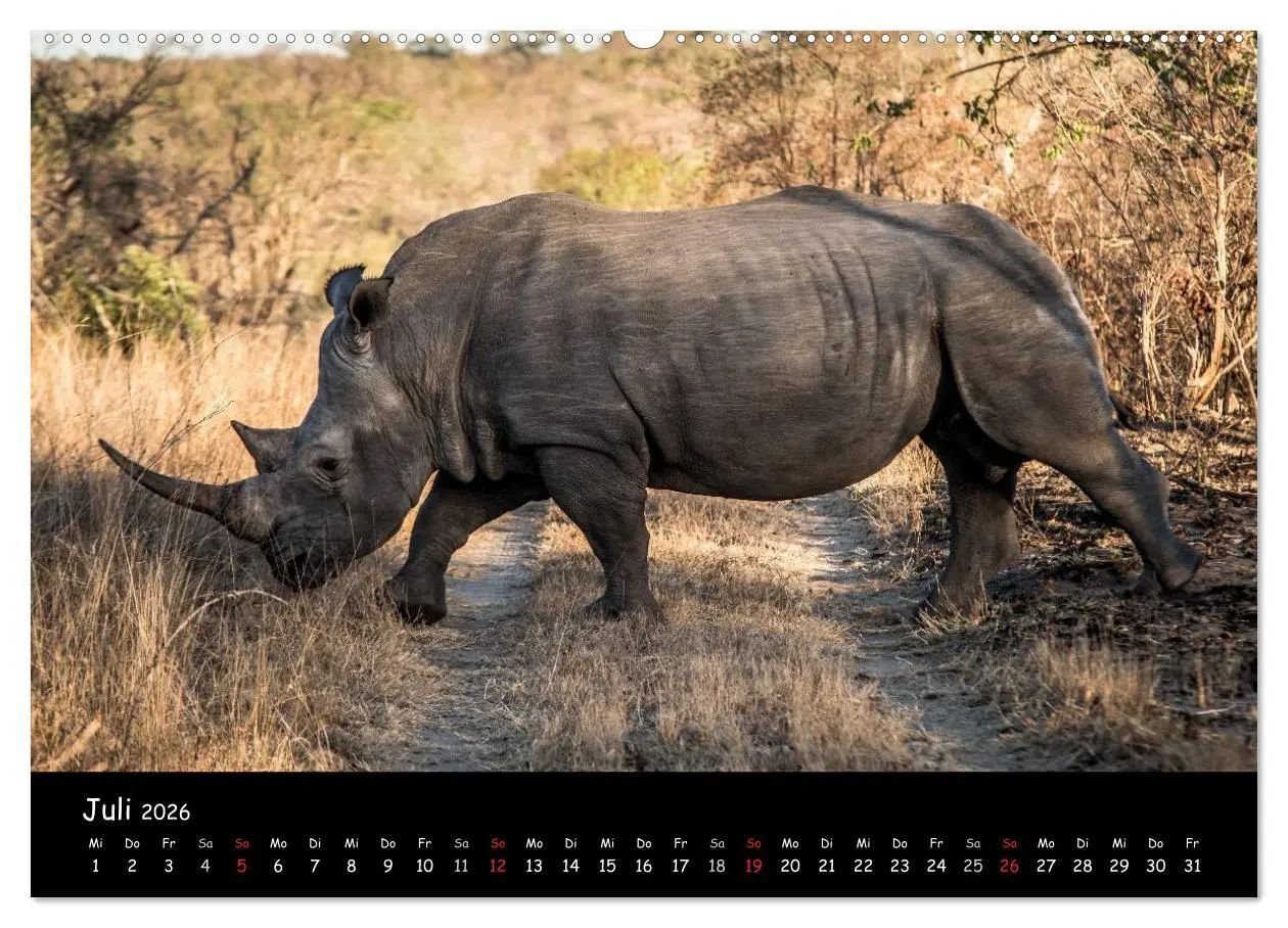 Bild: 9783516056792 | Tier-Momente in Afrika (hochwertiger Premium Wandkalender 2026 DIN...