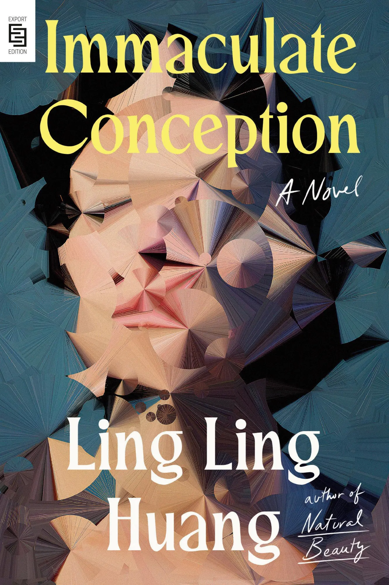 Cover: 9798217176892 | Immaculate Conception | A Novel | Ling Ling Huang | Taschenbuch | 2025