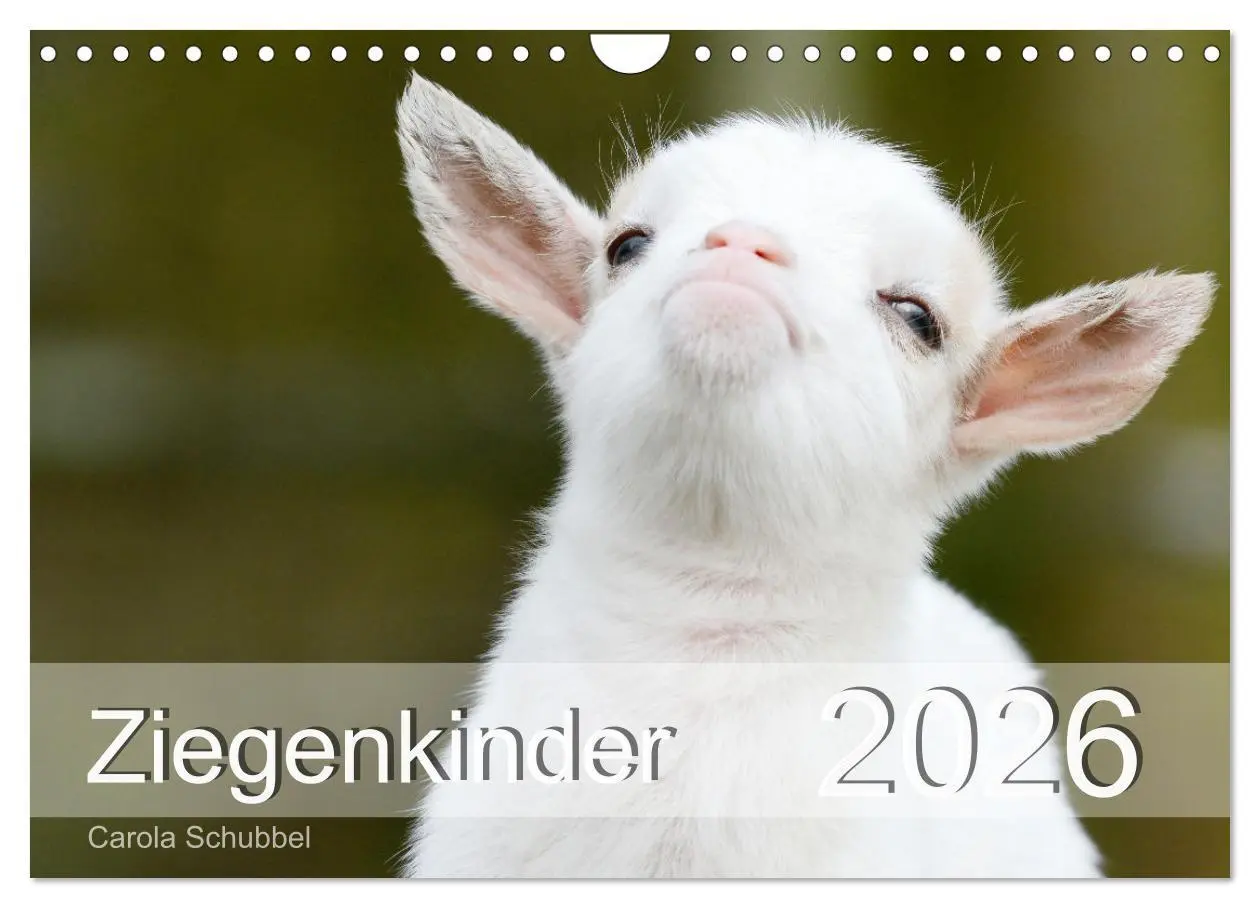 Cover: 9783457636992 | Ziegenkinder (Wandkalender 2026 DIN A4 quer), CALVENDO Monatskalender