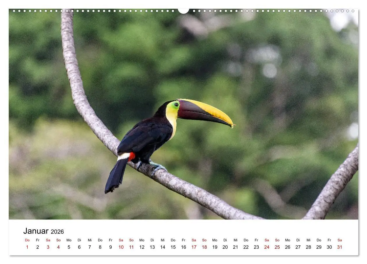 Bild: 9783457706992 | Costa Rica - das Naturparadies (hochwertiger Premium Wandkalender...