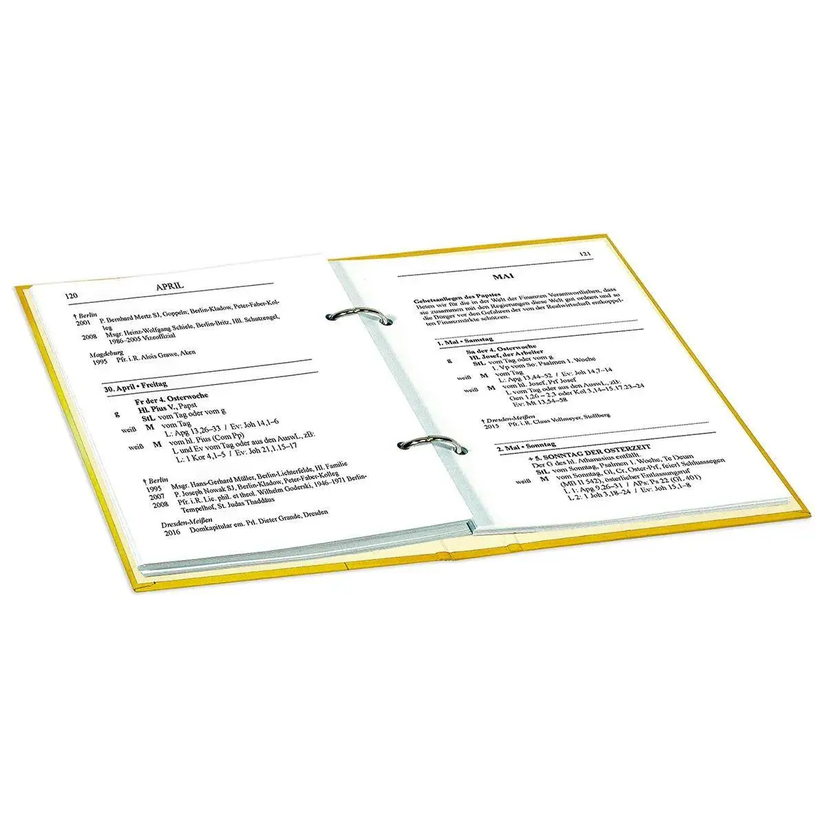 Bild: 9783746266992 | Liturgisches Direktorium 2025/2026 | Loseblatt | 250 S. | Deutsch