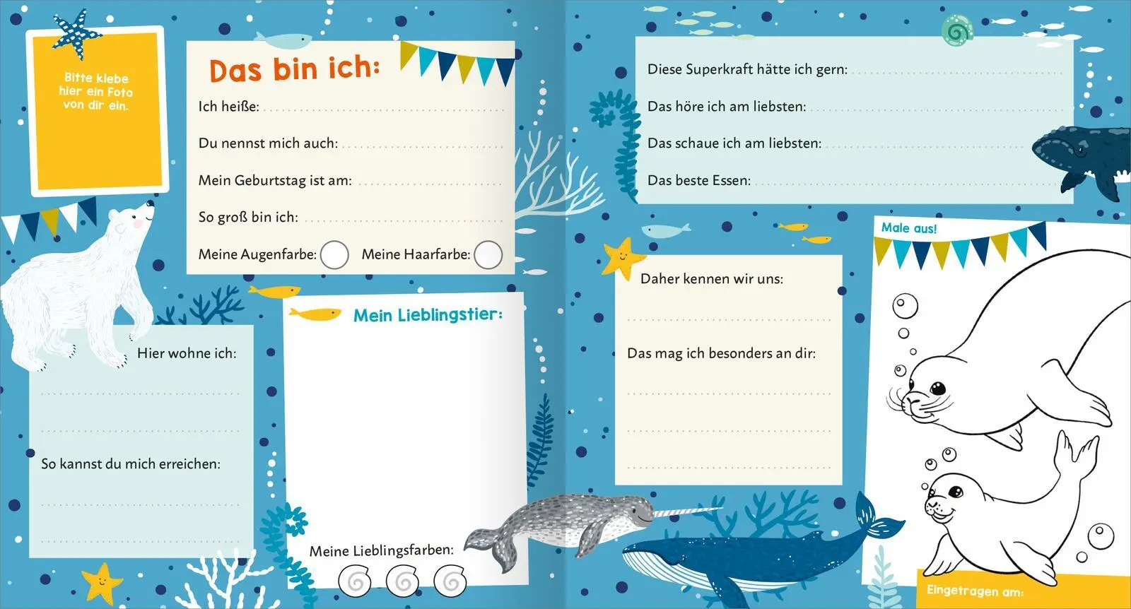 Bild: 4014489137092 | Meine Freunde - Meer | Buch | 64 S. | Deutsch | 2025 | arsEdition GmbH