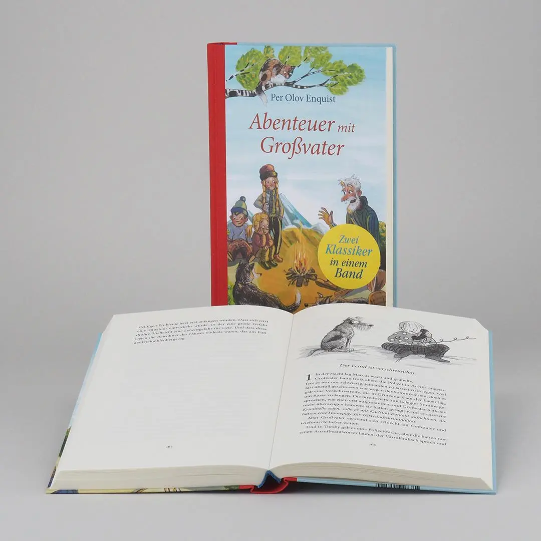 Bild: 9783446257092 | Abenteuer mit Großvater | Per Olov Enquist | Buch | 264 S. | Deutsch