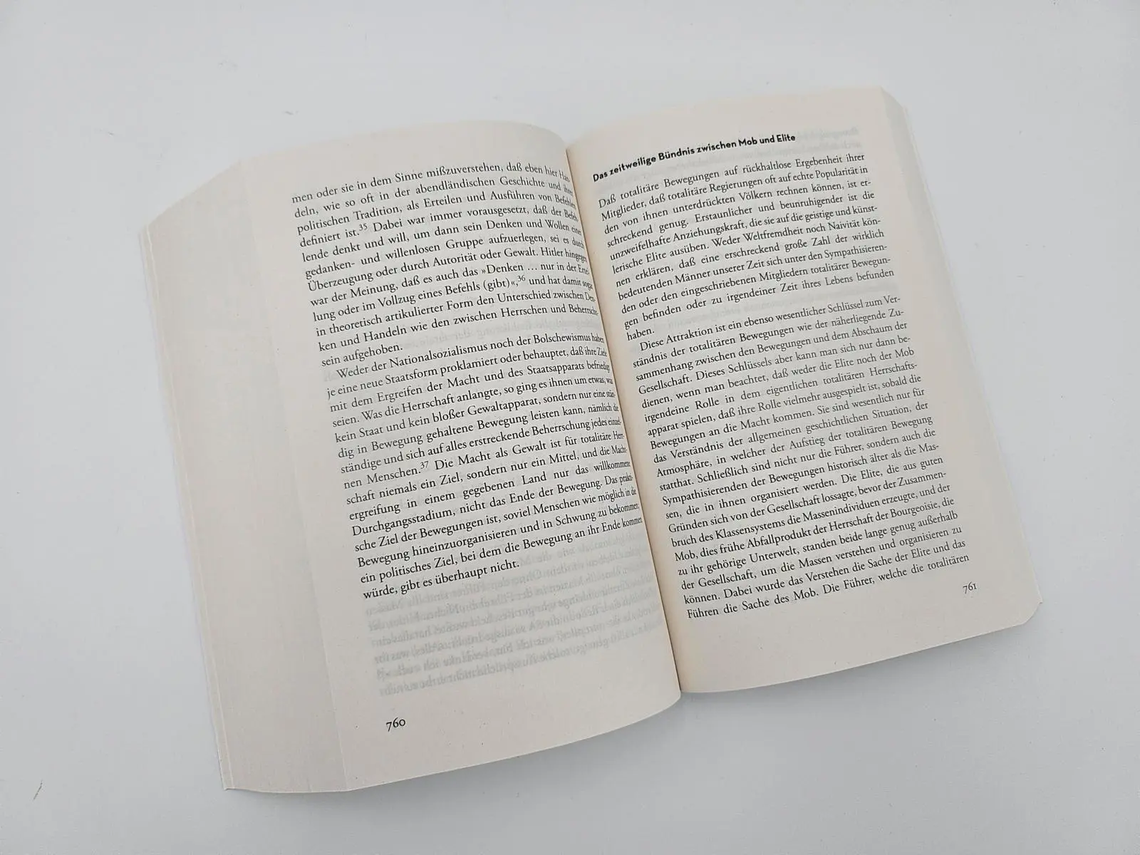 Bild: 9783492317092 | Elemente und Ursprünge totaler Herrschaft | Hannah Arendt | Buch