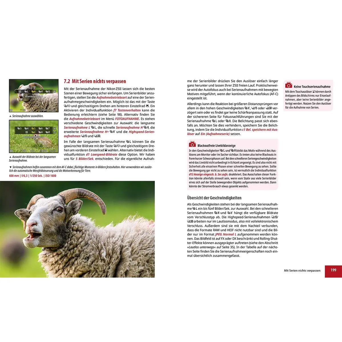 Bild: 9783832807092 | Nikon Z5II: Das umfangreiche Praxisbuch zu Ihrer Kamera | Buch | 2025
