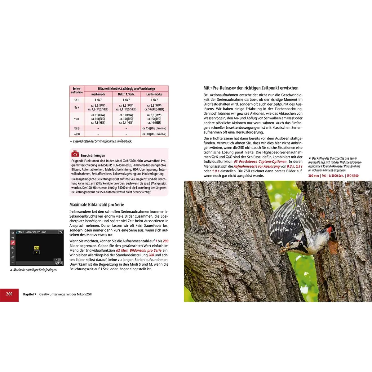 Bild: 9783832807092 | Nikon Z5II: Das umfangreiche Praxisbuch zu Ihrer Kamera | Buch | 2025