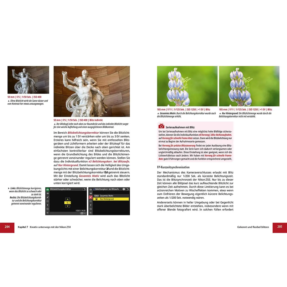 Bild: 9783832807092 | Nikon Z5II: Das umfangreiche Praxisbuch zu Ihrer Kamera | Buch | 2025