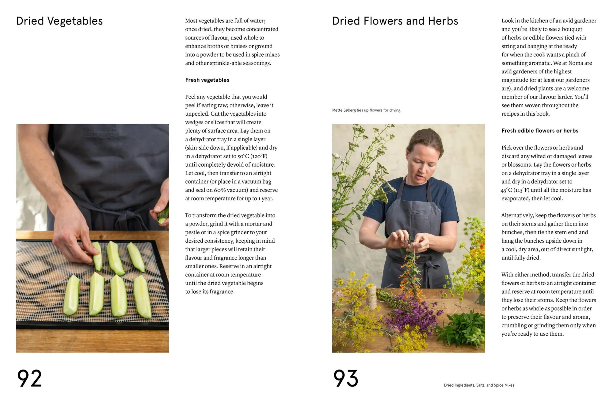 Bild: 9781579657192 | The Noma Guide to Building Flavour | René Redzepi (u. a.) | Buch
