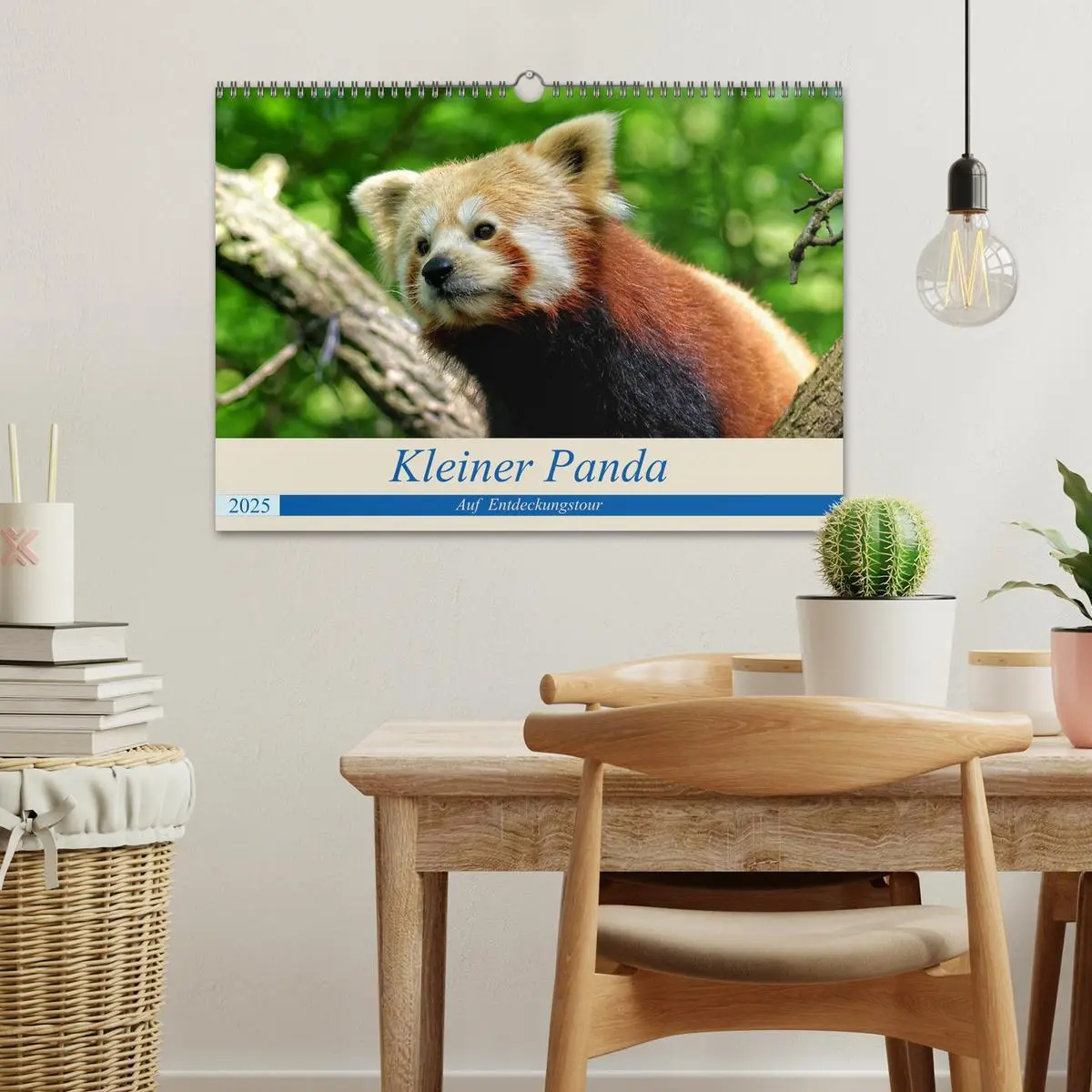 Bild: 9783435357192 | Kleiner Panda auf Entdeckungstour (Wandkalender 2025 DIN A3 quer),...
