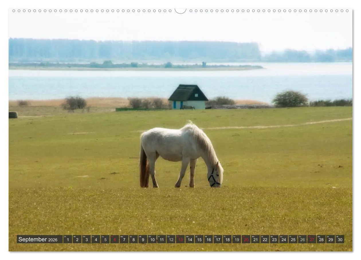 Bild: 9783516157192 | Insel Hiddensee (hochwertiger Premium Wandkalender 2026 DIN A2...