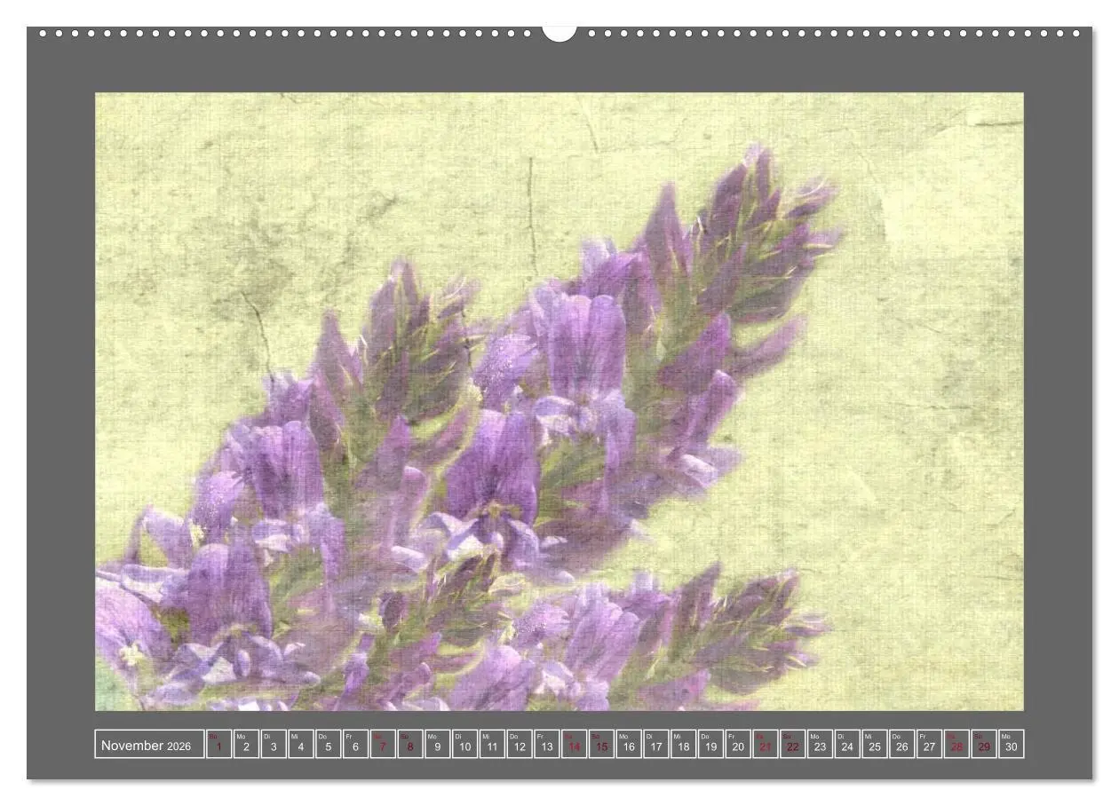 Bild: 9783516227192 | Blumen für dich (hochwertiger Premium Wandkalender 2026 DIN A2...