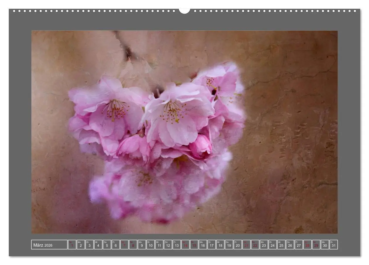 Bild: 9783516227192 | Blumen für dich (hochwertiger Premium Wandkalender 2026 DIN A2...