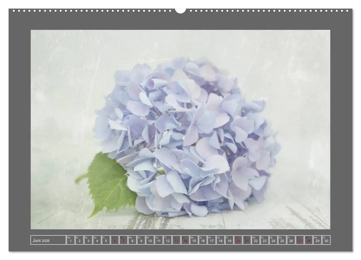 Bild: 9783516227192 | Blumen für dich (hochwertiger Premium Wandkalender 2026 DIN A2...