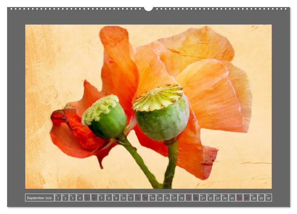 Bild: 9783516227192 | Blumen für dich (hochwertiger Premium Wandkalender 2026 DIN A2...