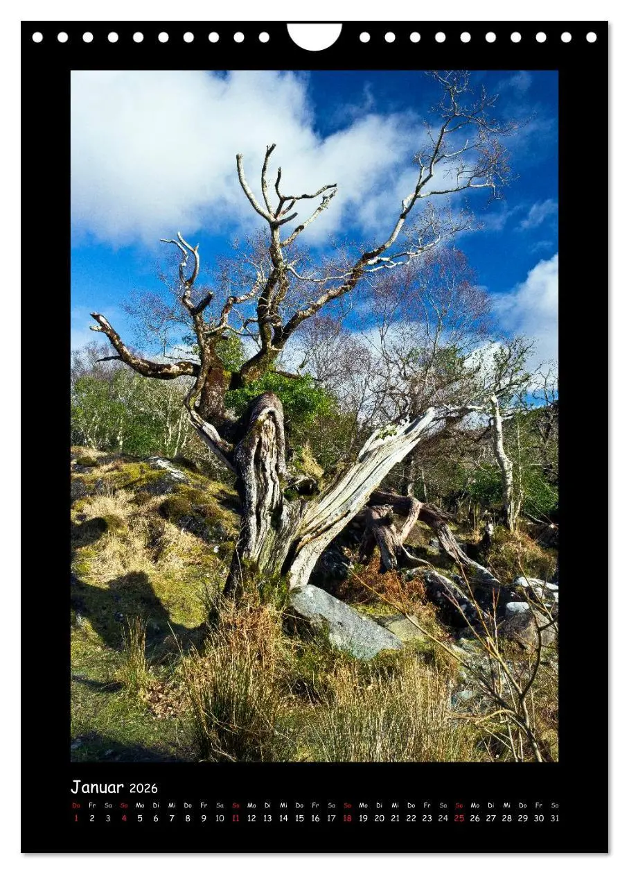 Bild: 9783516467192 | Irland - Romantische Plätze auf der Grünen Insel (Wandkalender 2026...