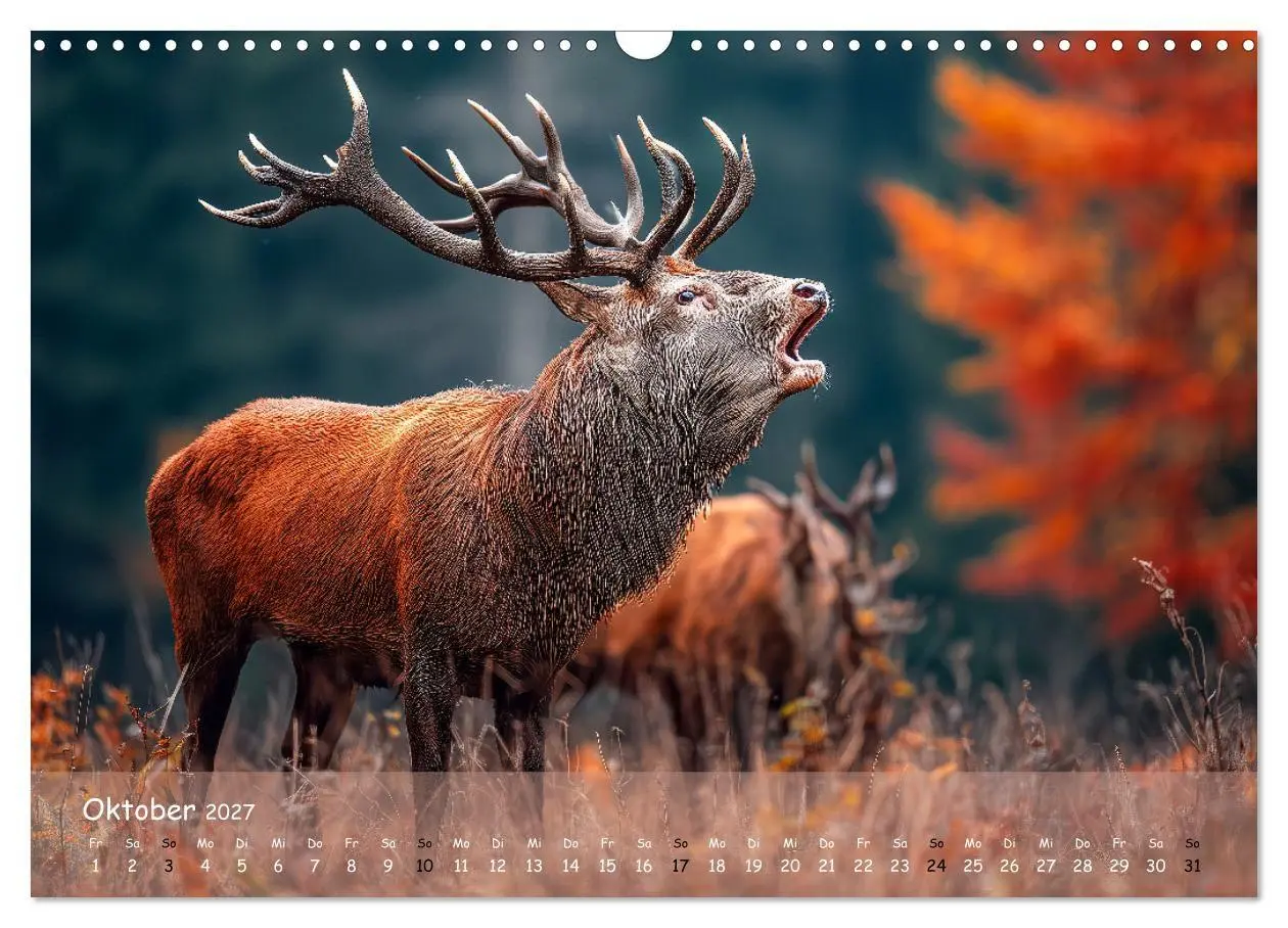 Bild: 9783516847192 | Jagd und Natur - Kalender für Jäger mit Wildtieren Deutschlands im...